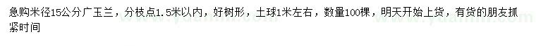 求購米徑15公分廣玉蘭