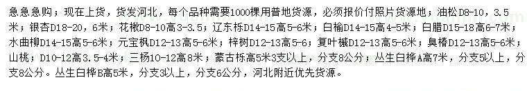 求購油松、銀杏、花楸等