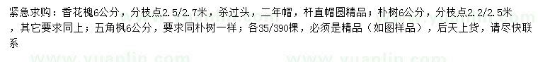求購香花槐、樸樹、五角楓