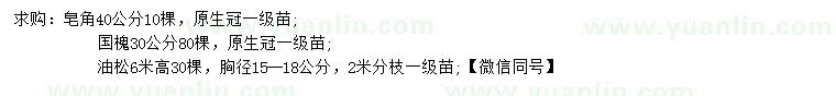 求購皂角、國槐、油松