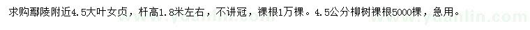 求購4.5公分大葉女貞