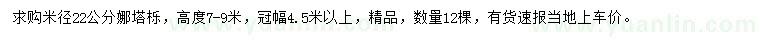 求購米徑22公分娜塔櫟