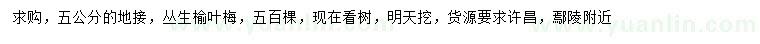 求購(gòu)5公分叢生榆葉梅
