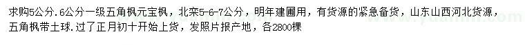 求購五角楓、元寶楓、北欒