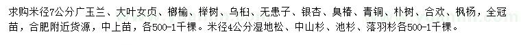 求購(gòu)廣玉蘭、大葉女貞、榔榆等