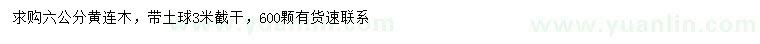 求購6公分黃連木