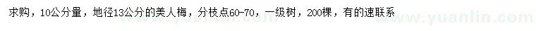 求購(gòu)10公分量地徑13公分美人梅