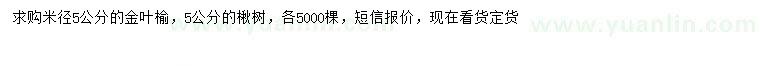 求購(gòu)5公分金葉榆、楸樹