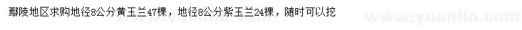求購地徑8公分黃玉蘭、紫玉蘭