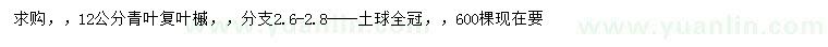 求購(gòu)12公分青葉復(fù)葉槭