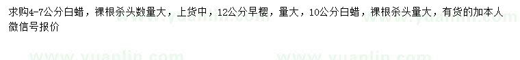 求購4-7、10公分白蠟、12公分早櫻
