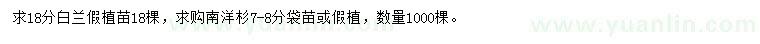 求購18公分白蘭、7-8公分南洋杉