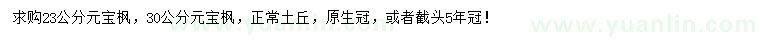 求購23、30公分元寶楓