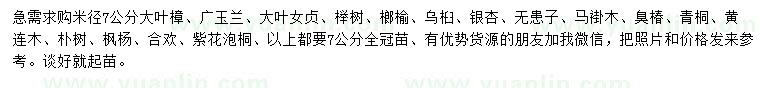 求購大葉樟、廣玉蘭、大葉女貞等