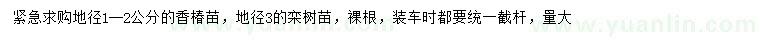 求購地徑1-2公分香椿、地徑3欒樹