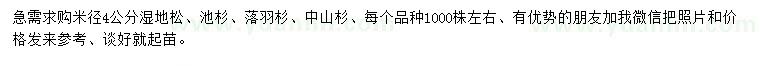 求購濕地松、池杉、落羽杉、中山杉