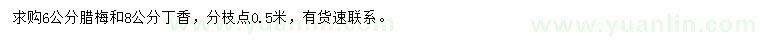 求購(gòu)6公分臘梅、8公分丁香
