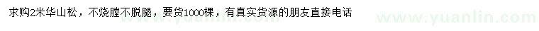 求購(gòu)2米華山松