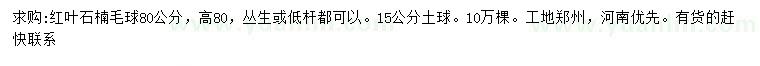 求購(gòu)高80公分紅葉石楠毛球