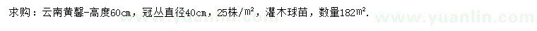 求購(gòu)高60公分云南黃馨