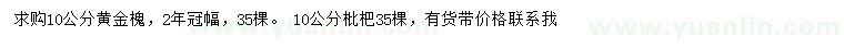 求購(gòu)10公分黃金槐、枇杷