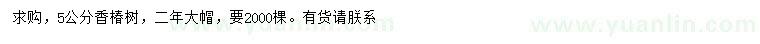 求購5公分香椿