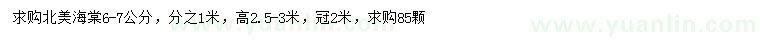 求購6-7公分北美海棠