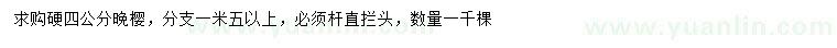 求購硬4公分晚櫻