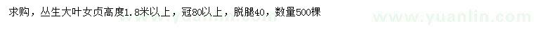 求購高1.8米以上叢生大葉女貞