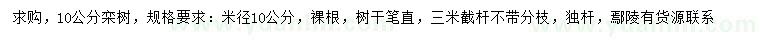 求購(gòu)米徑10公分欒樹