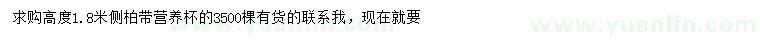 求購高1.8米側(cè)柏