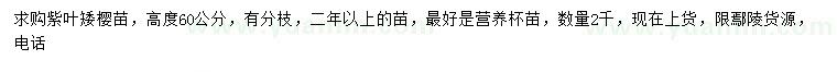 求購高60公分紫葉矮櫻苗
