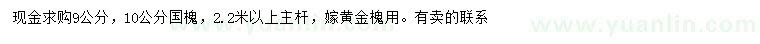 求購9、10公分國槐