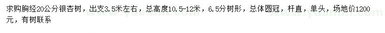 求購(gòu)胸徑20公分銀杏