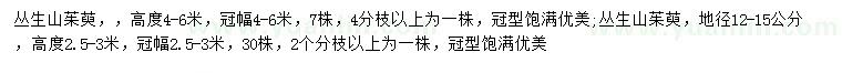求購地徑20公分叢生山茱萸