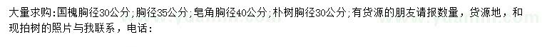 求購胸徑30、35公分國槐
