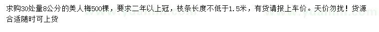 求購30量8公分美人梅