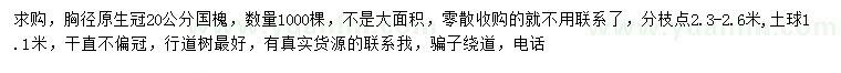 求購(gòu)20公分國(guó)槐