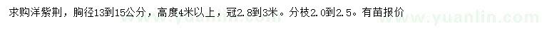 求購(gòu)胸徑13-15公分洋紫荊