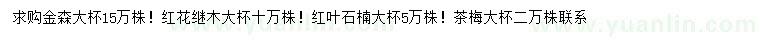 求購(gòu)金森、紅花繼木、紅葉石楠等