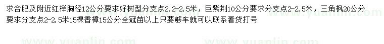 求購紅櫸、巨紫荊、三角楓