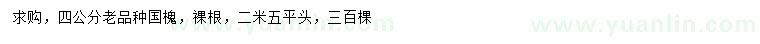 求購4公分國槐