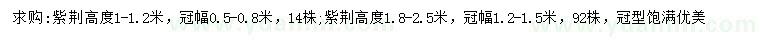 求購高1-1.2米紫荊