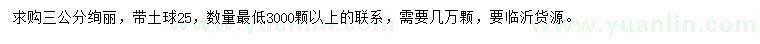 求購3公分絢麗