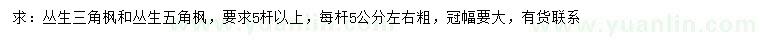 求購叢生三角楓、叢生五角楓