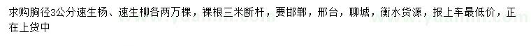 求購胸徑3公分速生楊、速生柳