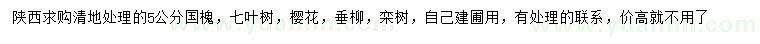 求購國槐、七葉樹、櫻花等