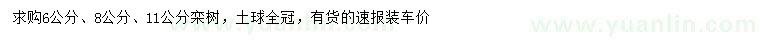 求購6、8、11公分欒樹