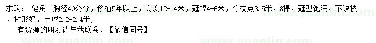 求購胸徑40公分皂角