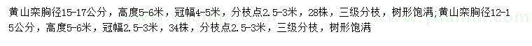 求購12-17公分黃山欒